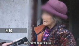 网友牛小姐爆料视频,揭秘事件背后惊人真相